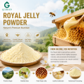 Polvo de jalea real para suplementos nutricionales, alimentos de belleza