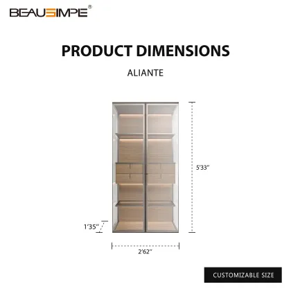 Luxury Transparent Storage Cabinet with LED Lighting