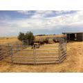 cheap cattle panels for sale