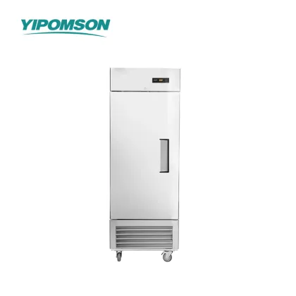 Stainless Steel Reach-In Refrigerator for Restaurants