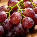 عنب الكرمة الطبيعي الطازج