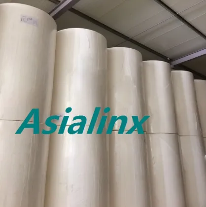charmin toilet paper jumbo roll