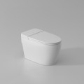 Factory Direct Sales No Battery Toilet
