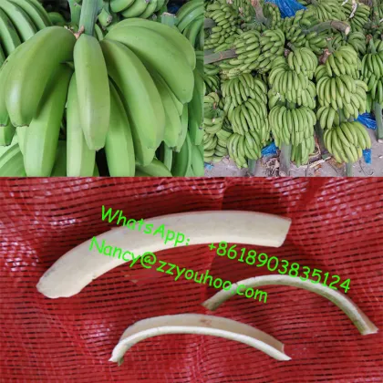 Automatic Green Banana Peeling Machine: Efficient Solution for Peeling Fresh Bananas