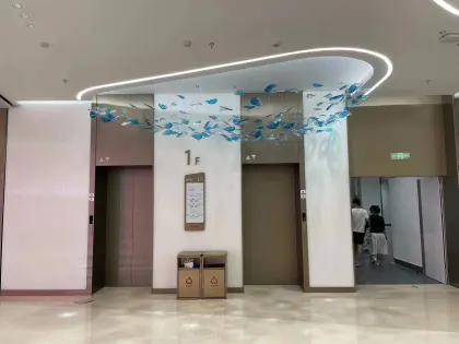 High-End Custom Chandeliers for Large Shopping Mall Elevators