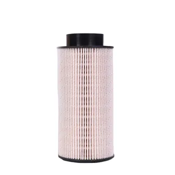 Auto Fuel Filter for Chinese Factory - Various Models