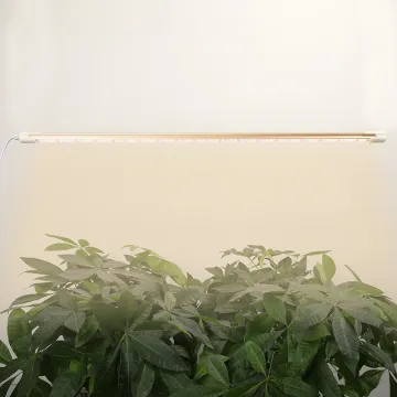 PVISUNG Red Light For Flowering