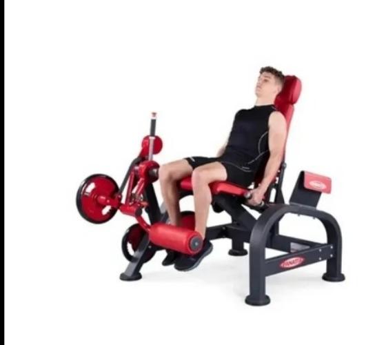 Professional Seated Leg Extension Machine