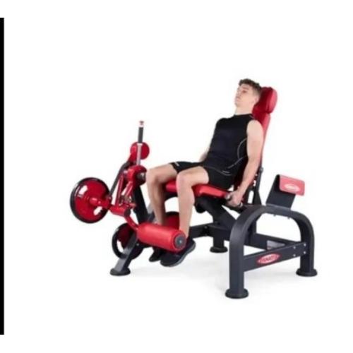 Professional Seated Leg Extension Machine