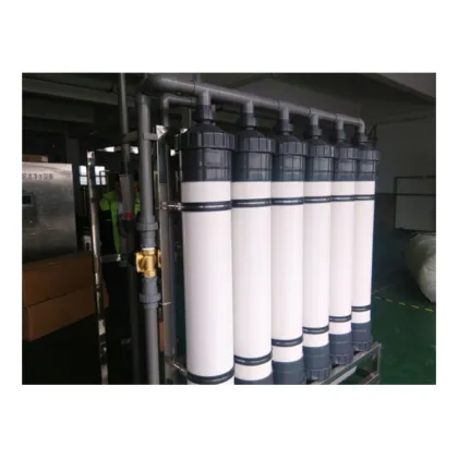 UF SYSTEM Ultrafiltration Protein Water Filtration and Purification Machine