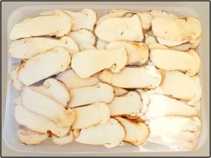 Dried Wild Matsutake Mushroom From Metan