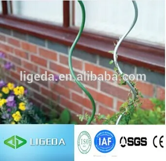 plant support in tomato paste factory