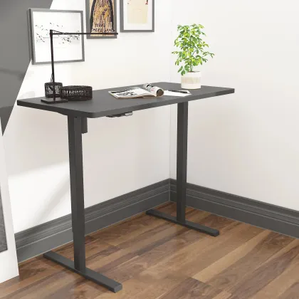 Loctek Economical Single Motor 2-Stage Standing Desk ET111G