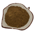 Hot Sale Hypericin0.3% St John's Wort Extract