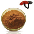 Getrocknete Wand gebrochen Ganoderma lucidum spore pulver Reishi