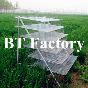 BT Factory new design high quality quail cages for sale in Uganda farm