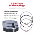 Isuzu 6HH1 Piston Rings 8-94390-799-0