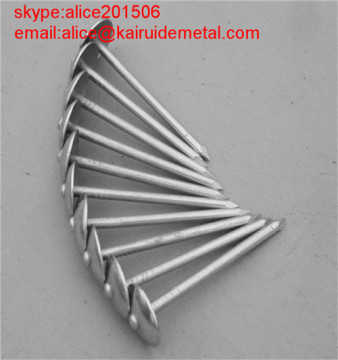 Polished Umbrella Roofing Nail With Smooth or Twisted Shank