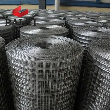 Europe Welded Wire Mesh Rolls