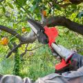 Pequeña motosierra inalámbrica para la rama para cortar madera