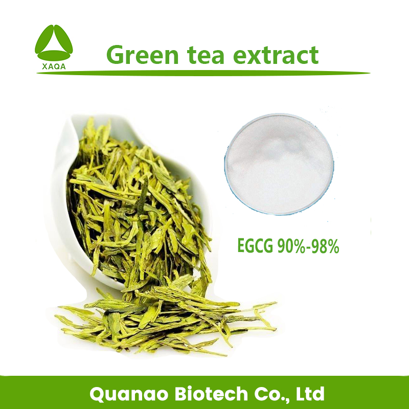 Extracto de té verde EGCG 98% Polvo perder peso
