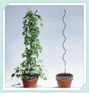 green pvc coated Tomato Spiral Plant Supports