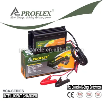 12V 5A Automatic Portable Golf Cart Battery Charger