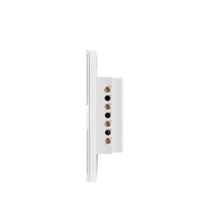 Chaoran Smart Home Products That Work with Google Home US Touch Smart Switches