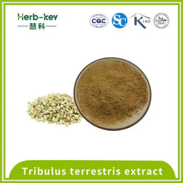 Extracto de saponina al 40% de Tribulus terrestris