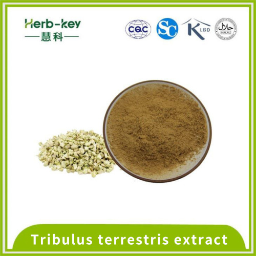 40% экстракт сапонина Tribulus terrestris