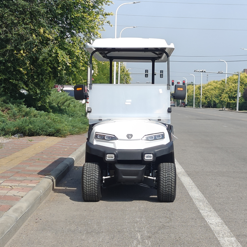6 seat golf cart with bucket