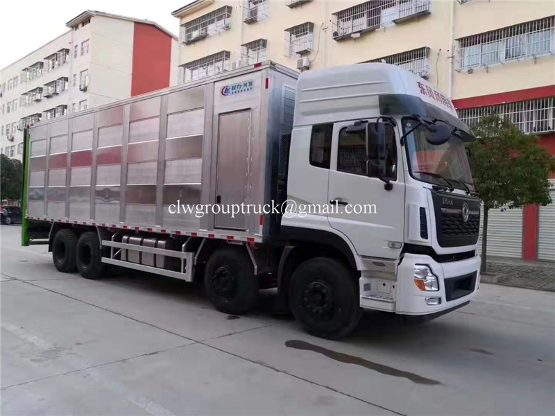 Cargo Truck 1