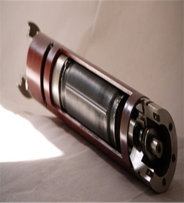 Settlement type submersible electric pump protector