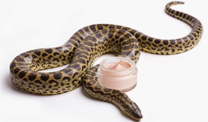 Snake Venom Cream