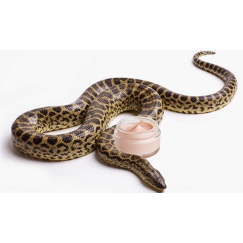 Smooth Snake Venom Face Cream