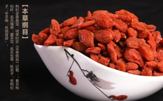 High Quality Fresh Organic Dried Goji Berry