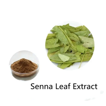 Buy online ingredients Senna Leaf Extract Powder
