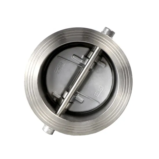 Taike China Manufacturer Cast iron Cast Steel Stainless Steel Wafer Non Return Check Valve