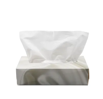 2Ply Wood Pulp Lotion Facial Tissues Flat Boxes