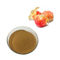 /msite/products/detail/productid/58827281/id/684075.html