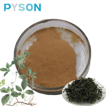 สารสกัด Gynostemma pentaphyllum (Gypenoside 98%)