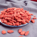 kurutulmuş goji meyveleri toptan satış