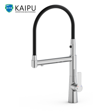 brushed nickel kitchen faucet with pull down sprayer