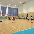 Indoor-PVC-Kunststoff-Sporthandballboden