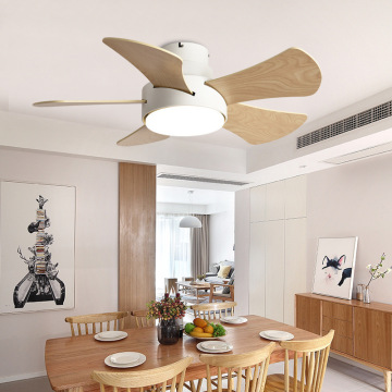 LEDER Modern Ceiling Fan With Light