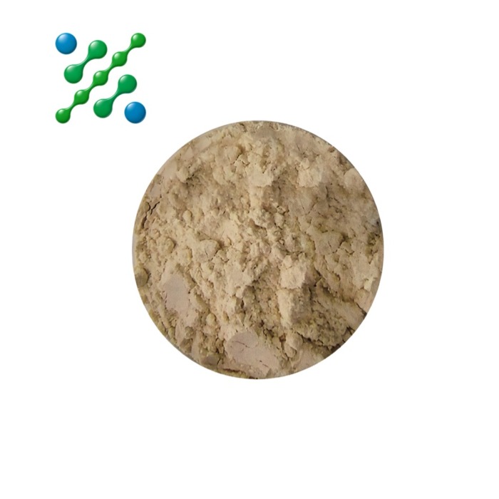 Extrato de Panax Ginseng Coreano Vermelho