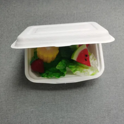 Bento Box Disposable Takeaway Eco Disposable Lunch Box