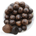 ISO HACCP CERTIFICATION SINGLE BLACK GARLIC