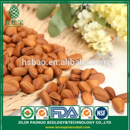 Wholesale High Quality Gift Bag Canned Open Pine Nuts in Shell