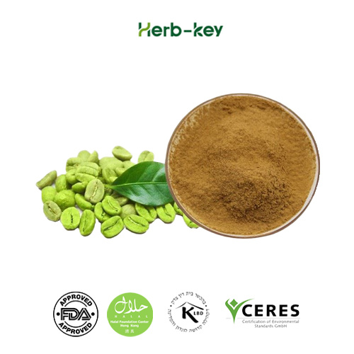 Natural 20% Chlorogenic Acid 98% Eucommia Ulmoides Extract